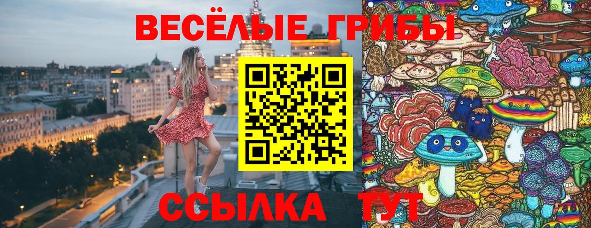 Галлюциногенные грибы Psilocybine cubensis  Вход с VPN  Минусинск 