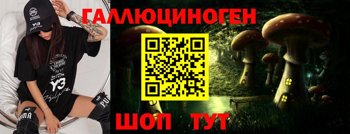 Галлюциногенные грибы Cubensis Минусинск